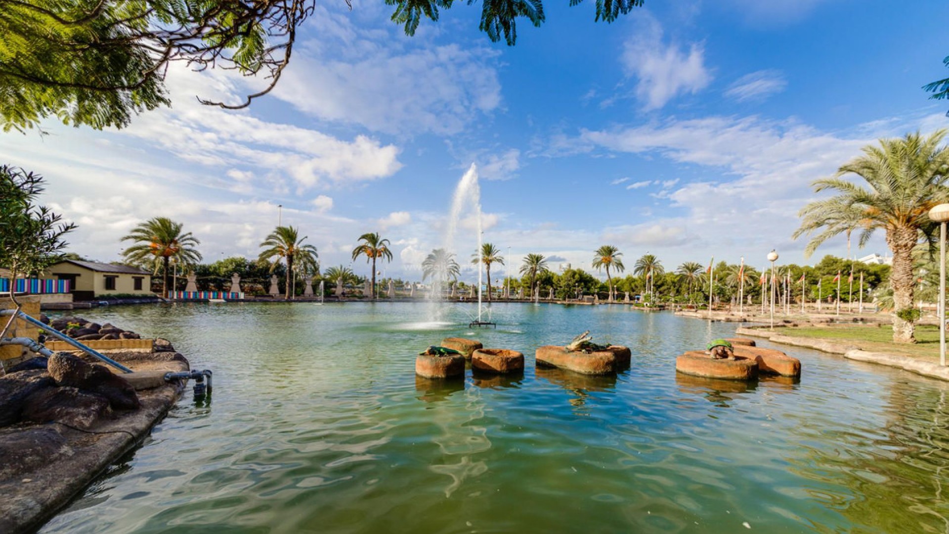 Apartment / flat in Torrevieja Centro