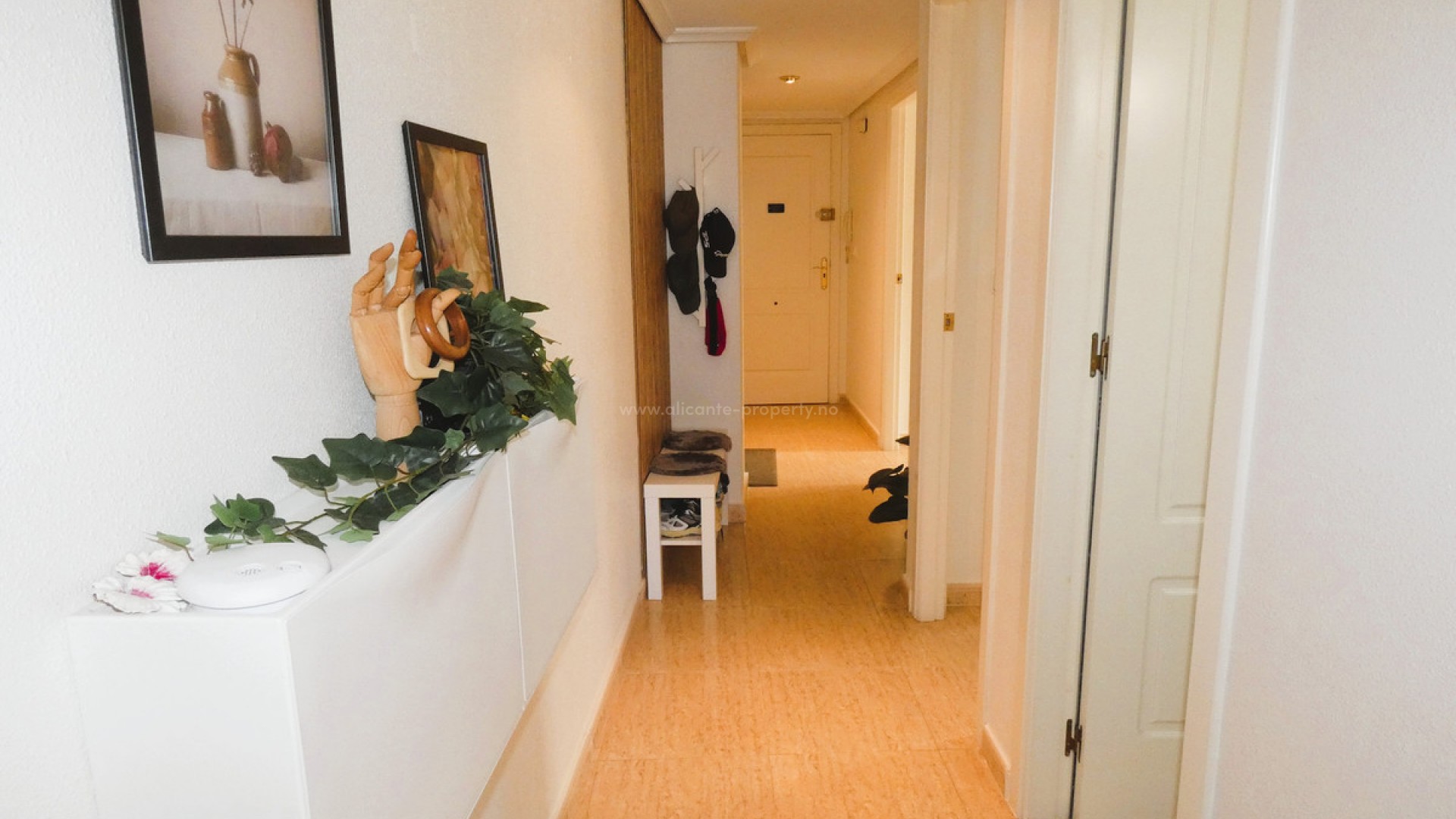 Apartment / flat in Torrevieja Centro