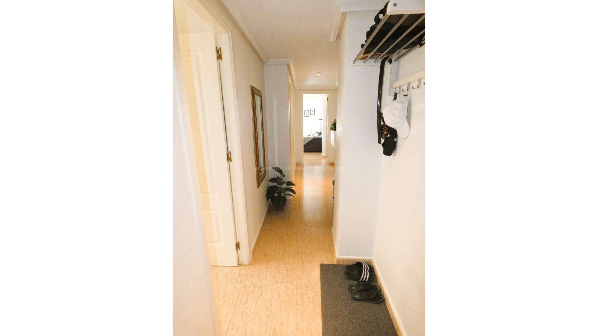 Apartment / flat in Torrevieja Centro