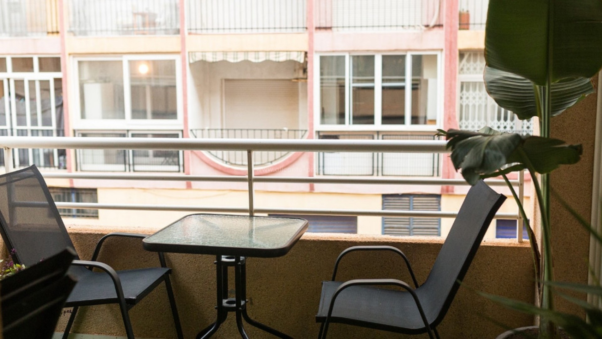 Apartment / flat in Torrevieja Centro