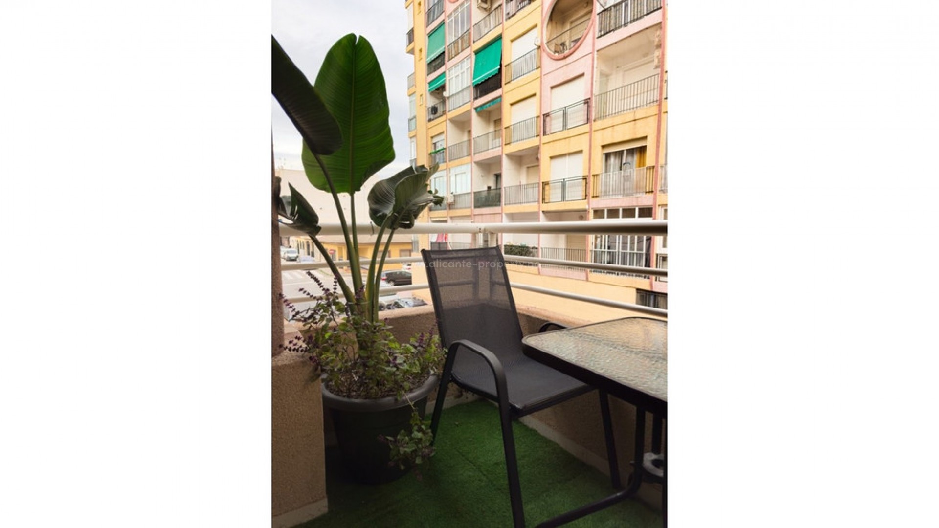 Apartment / flat in Torrevieja Centro