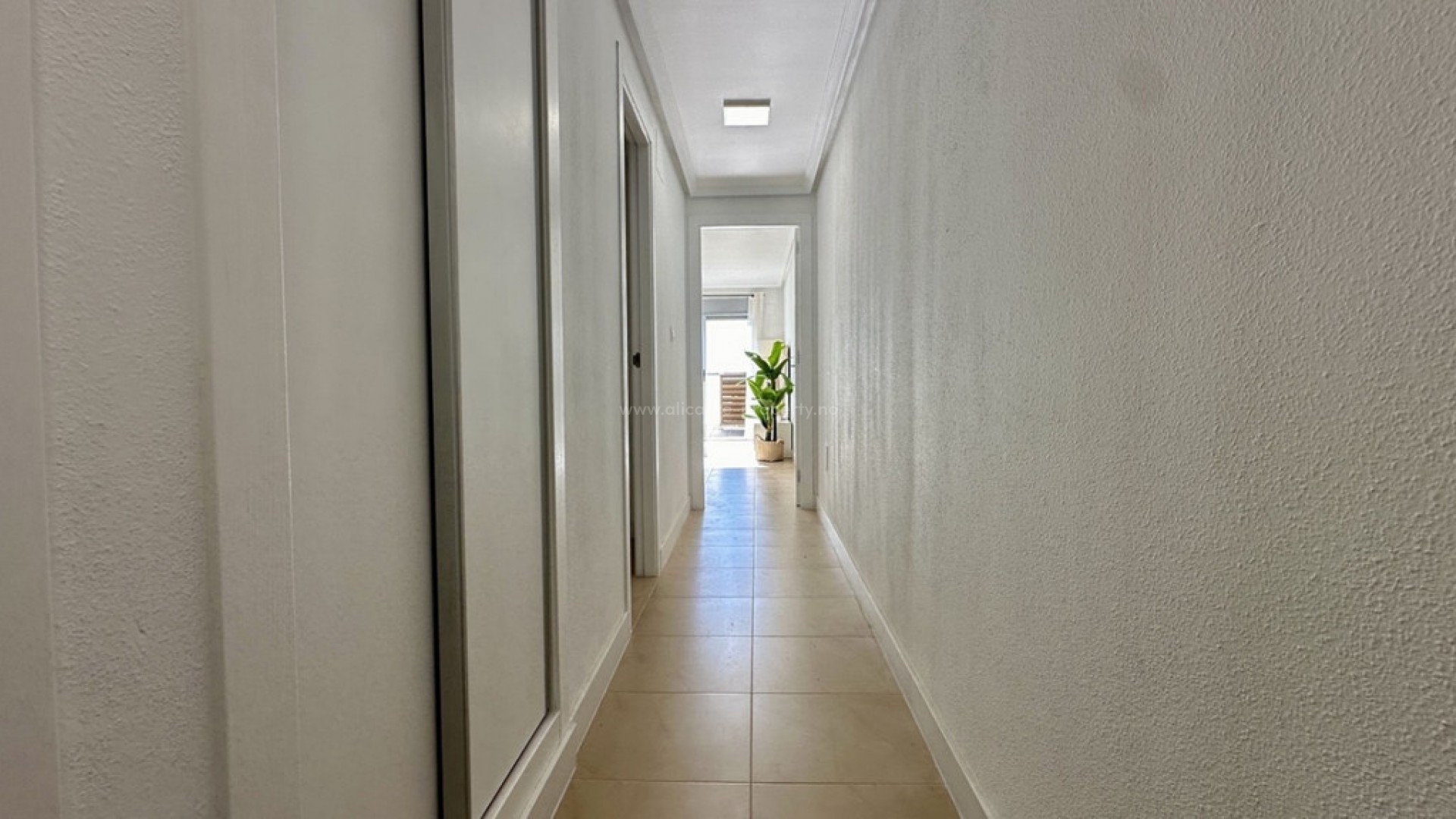 Apartment / flat in Torrevieja Centro