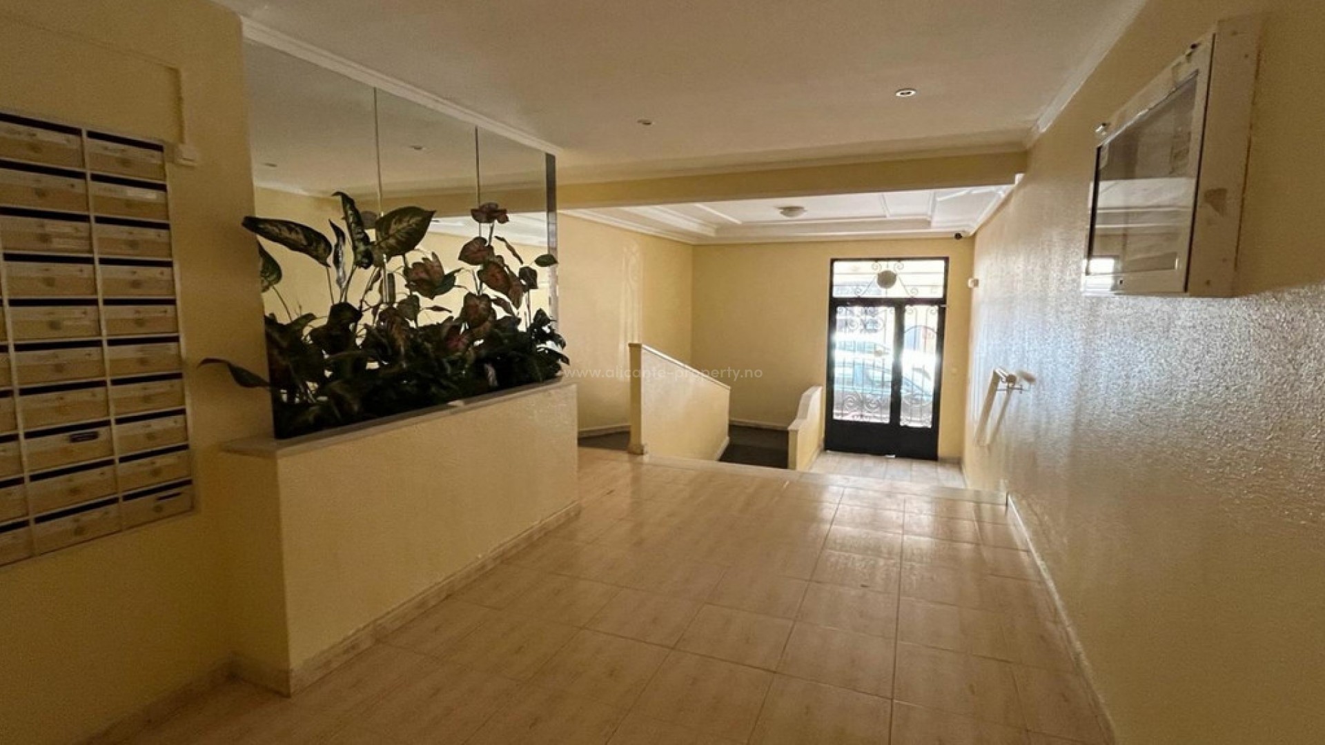 Apartment / flat in Torrevieja Centro