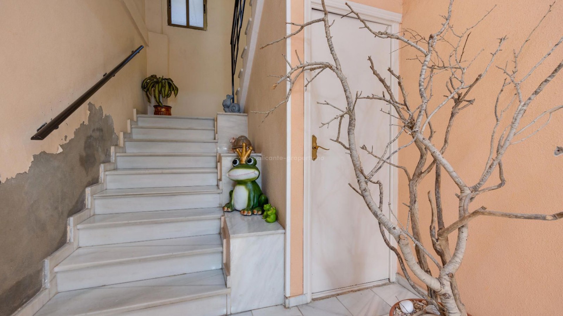 Apartment / flat in Torrevieja Centro