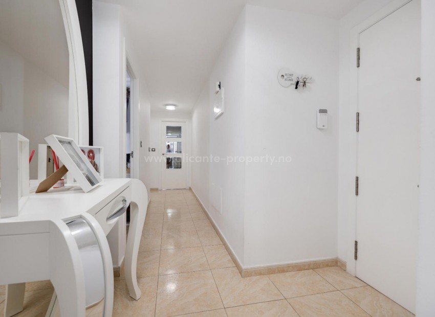 Apartment / flat in Torrevieja Centro
