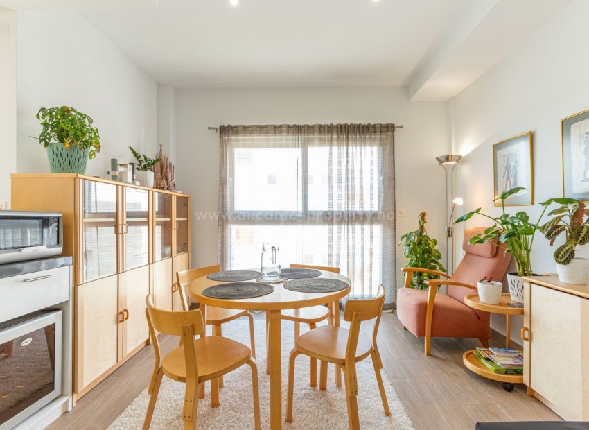 Apartment / flat in Torrevieja Centro