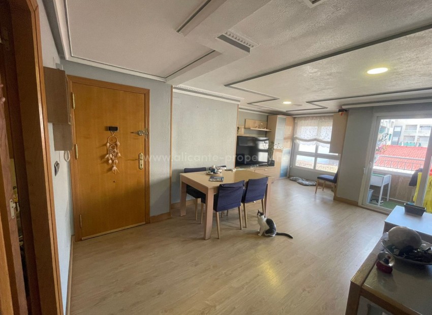 Apartment / flat in Torrevieja Centro