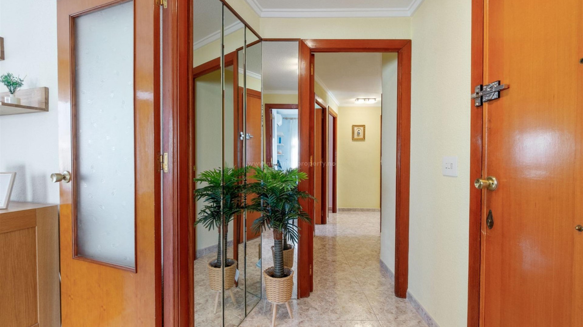 Apartment / flat in Torrevieja Centro