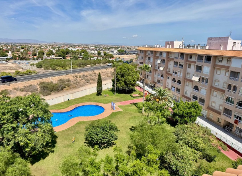 Apartment / flat in Torrevieja Centro