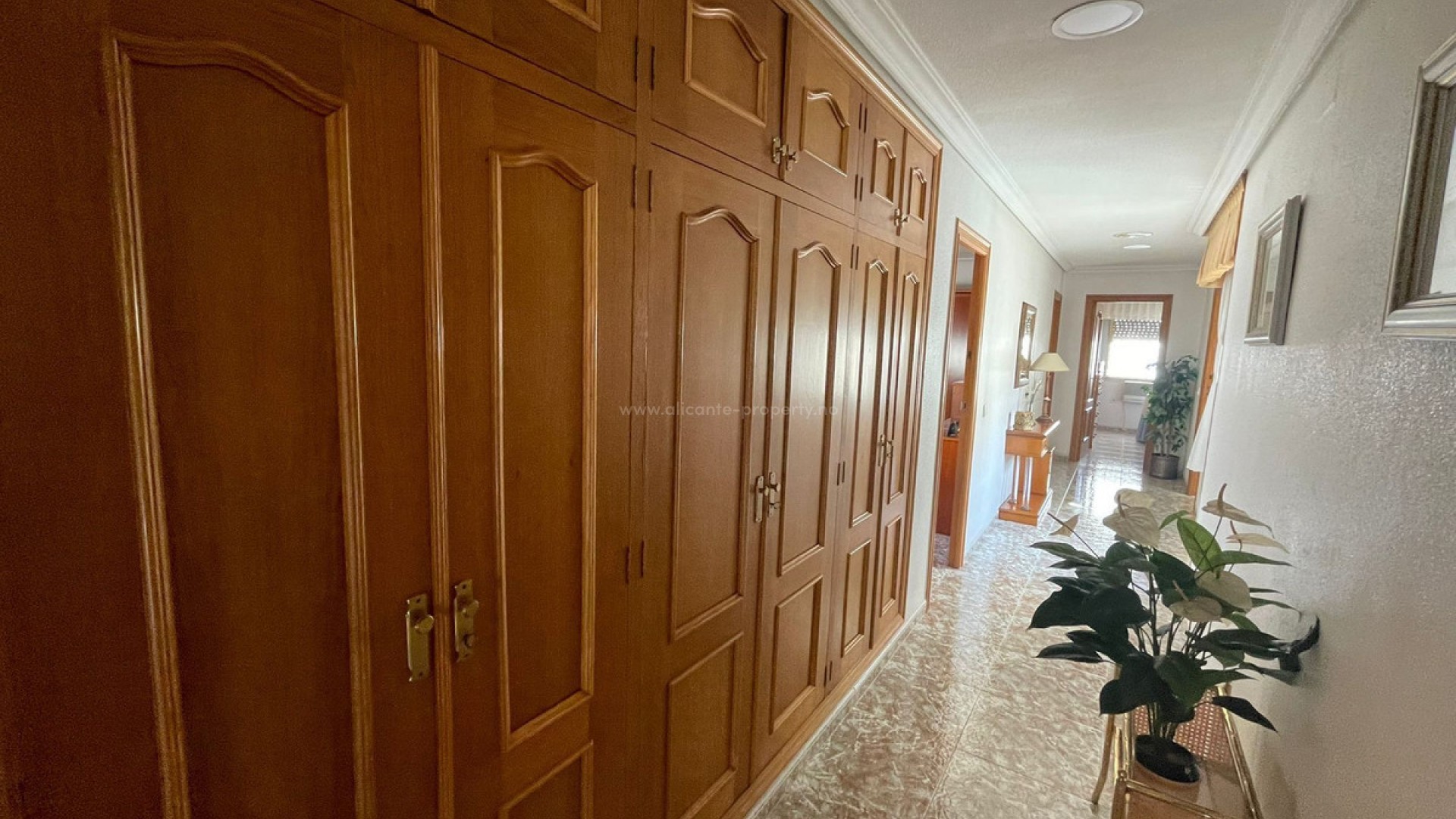 Apartment / flat in Torrevieja Centro