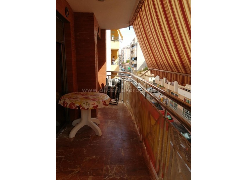 Apartment / flat in Torrevieja Centro