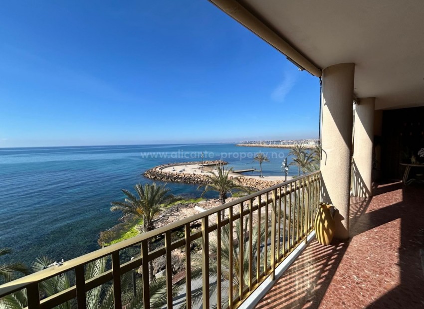 Apartment / flat in Torrevieja Centro