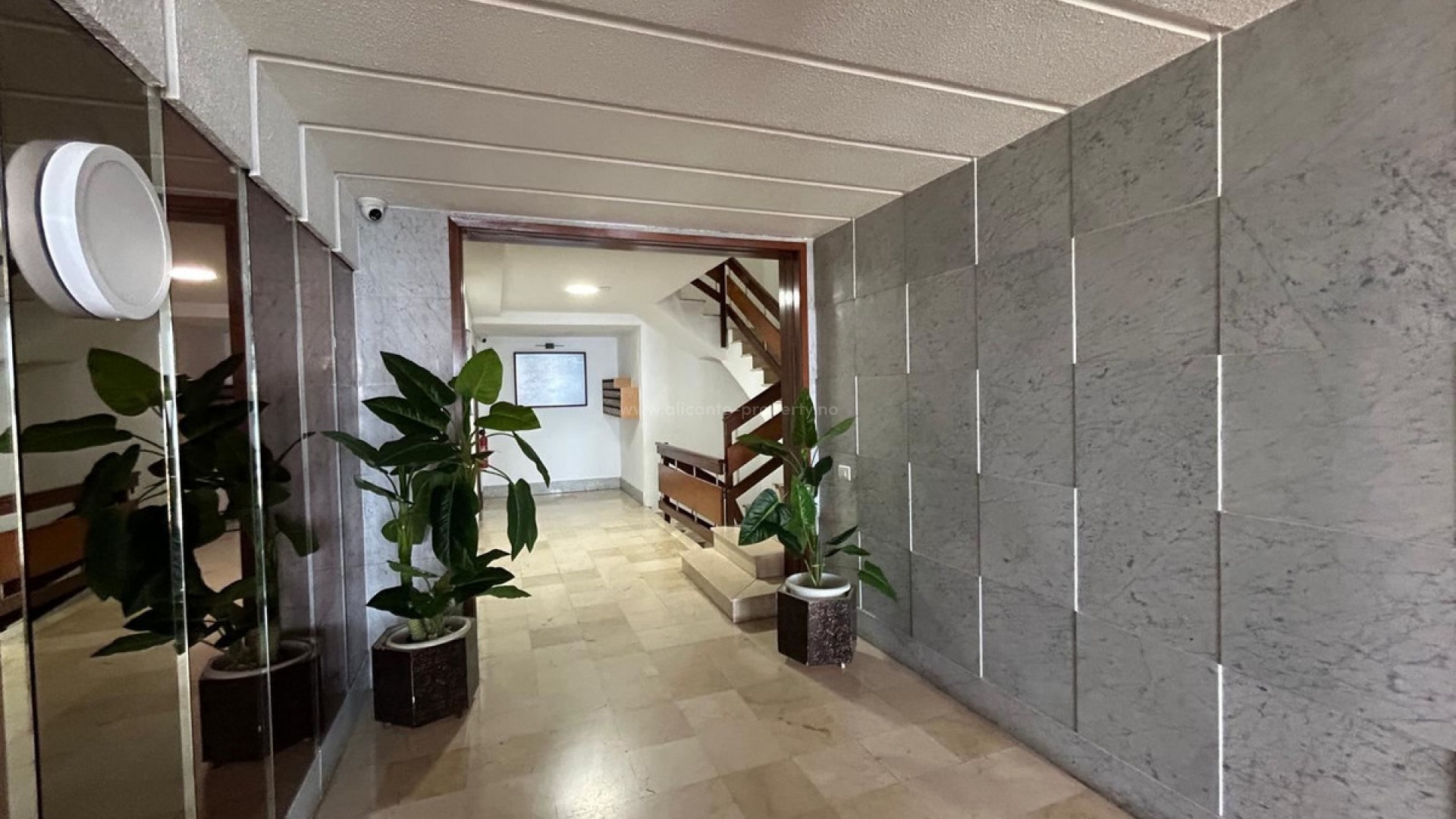 Apartment / flat in Torrevieja Centro