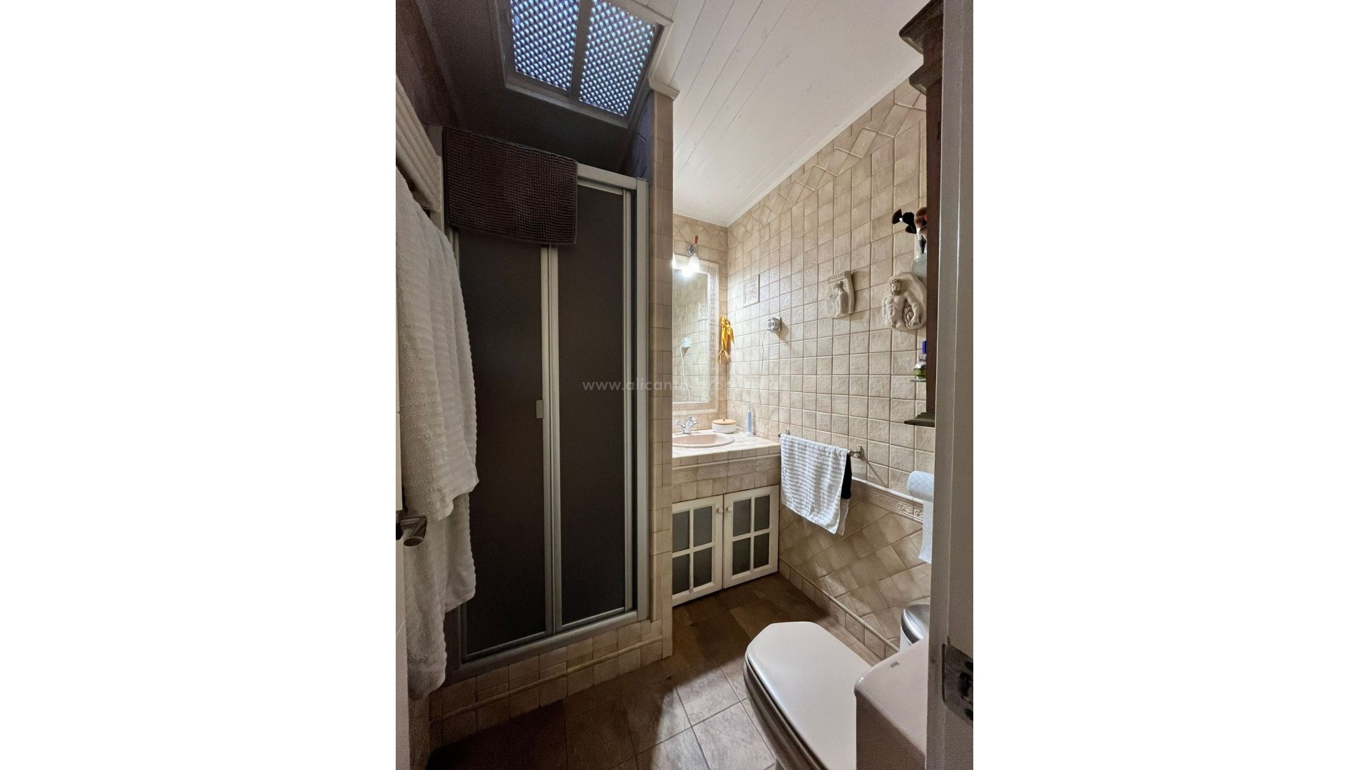 Apartment / flat in Torrevieja Centro