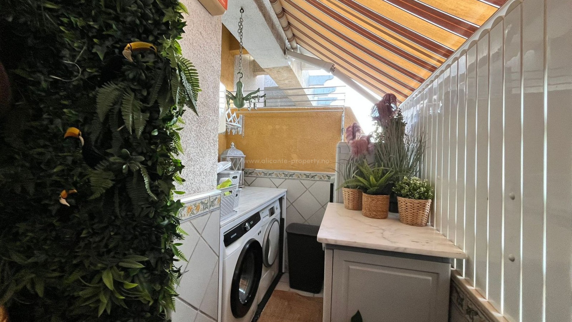 Apartment / flat in Torrevieja Centro