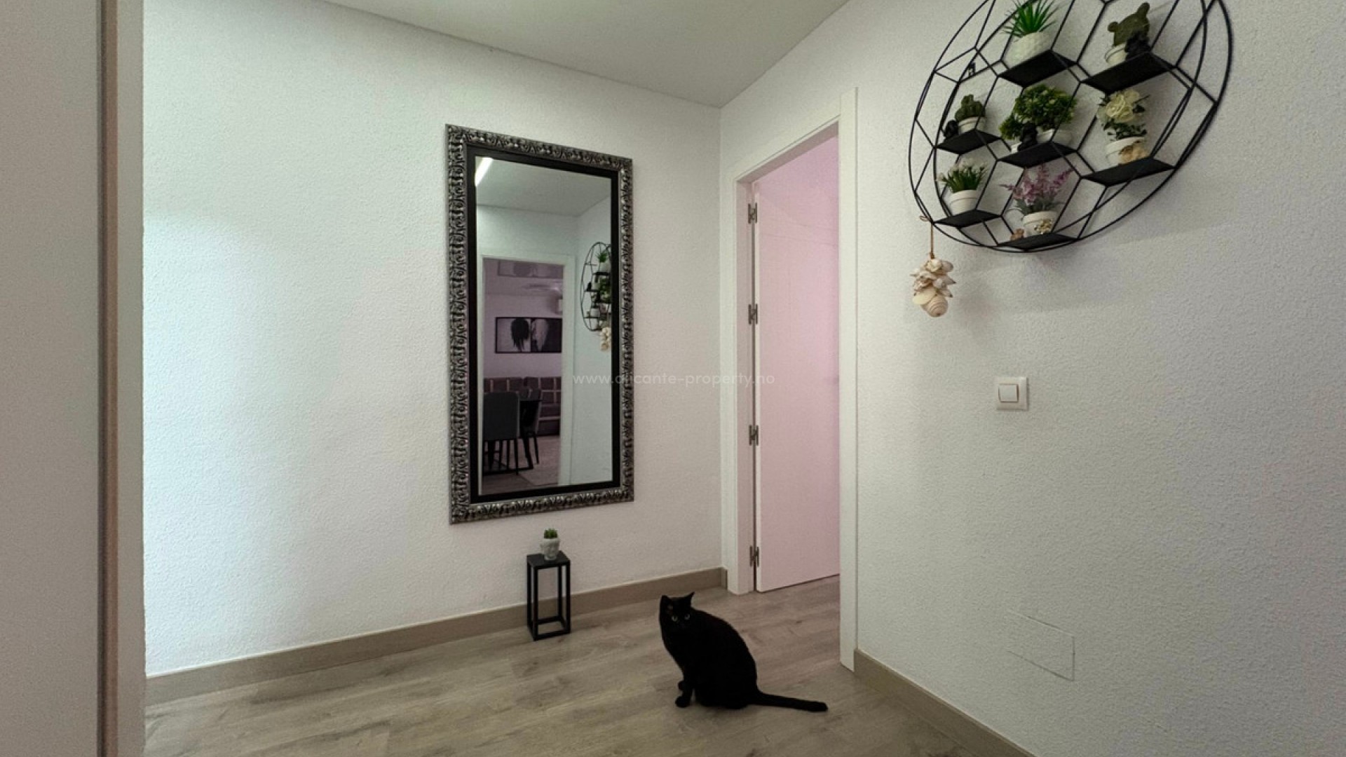 Apartment / flat in Torrevieja Centro