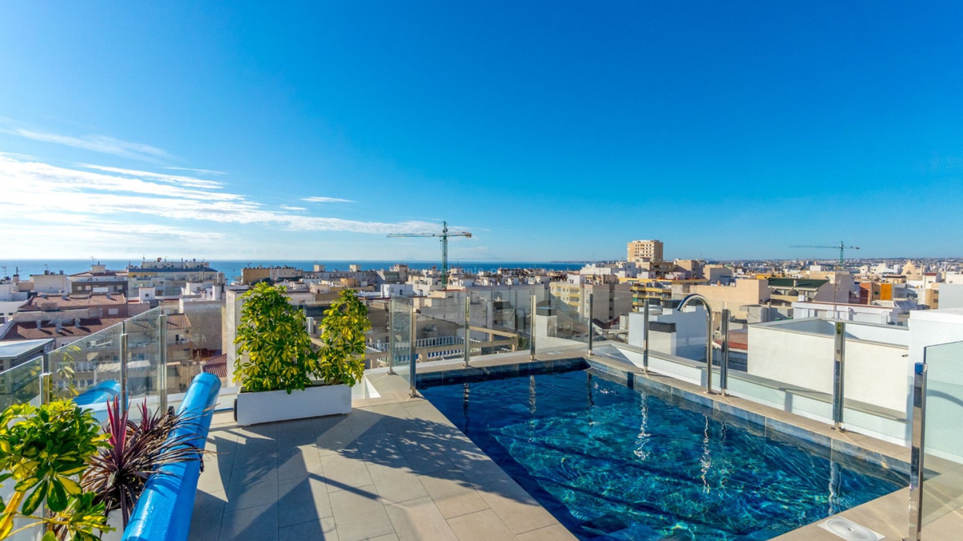 Apartment / flat in Torrevieja Centro