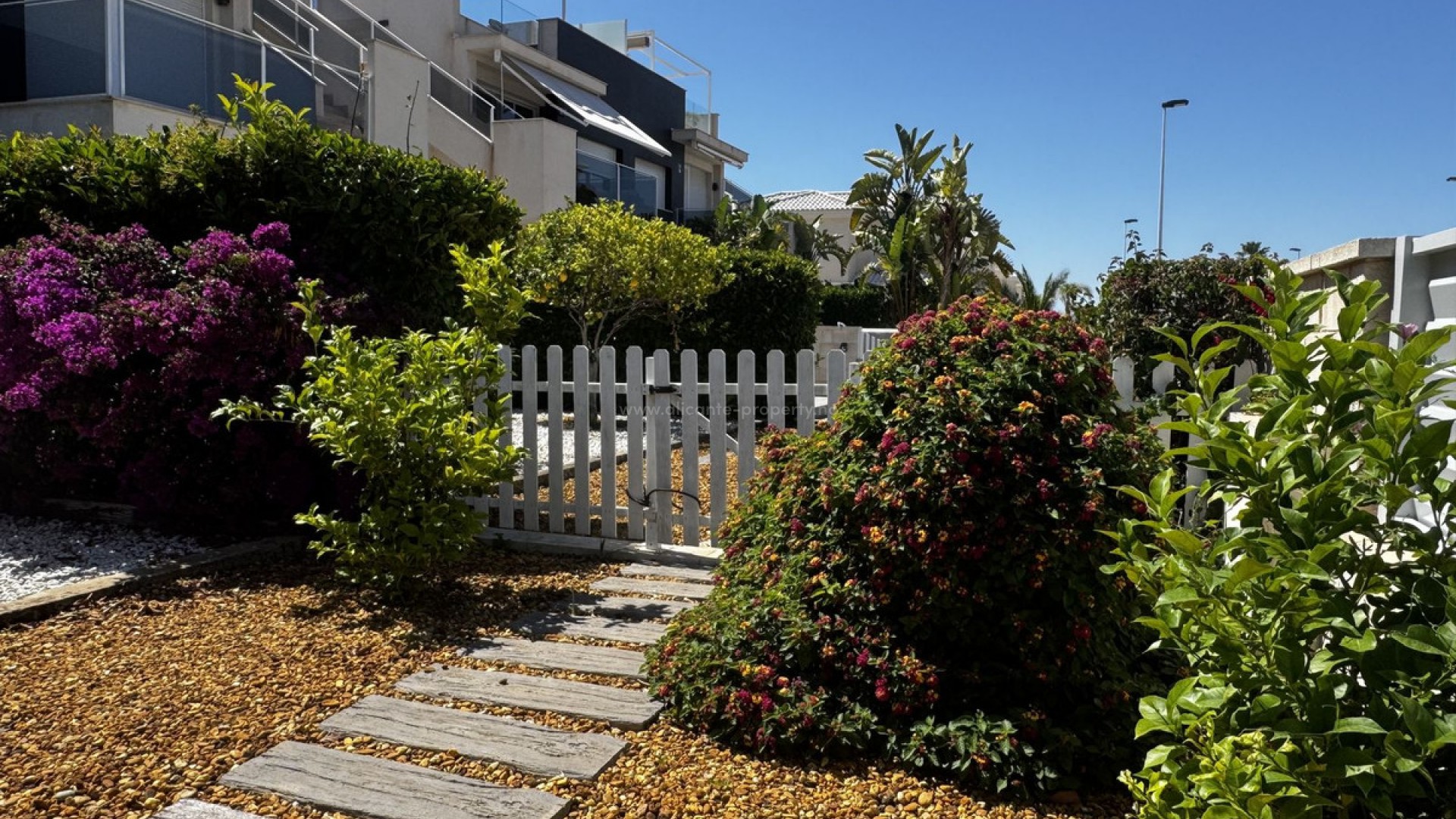 Apartment / flat in Torrevieja Centro