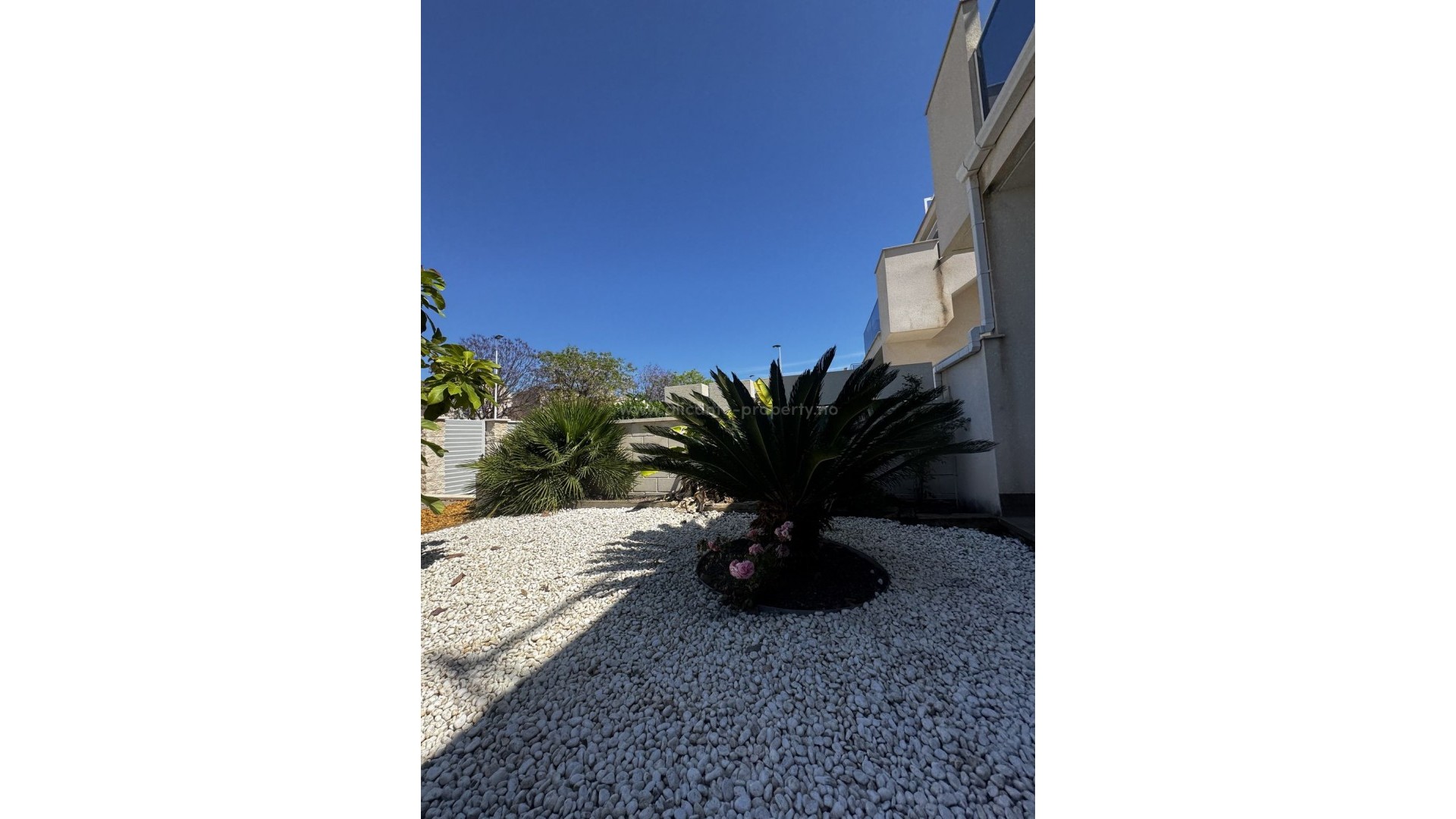 Apartment / flat in Torrevieja Centro