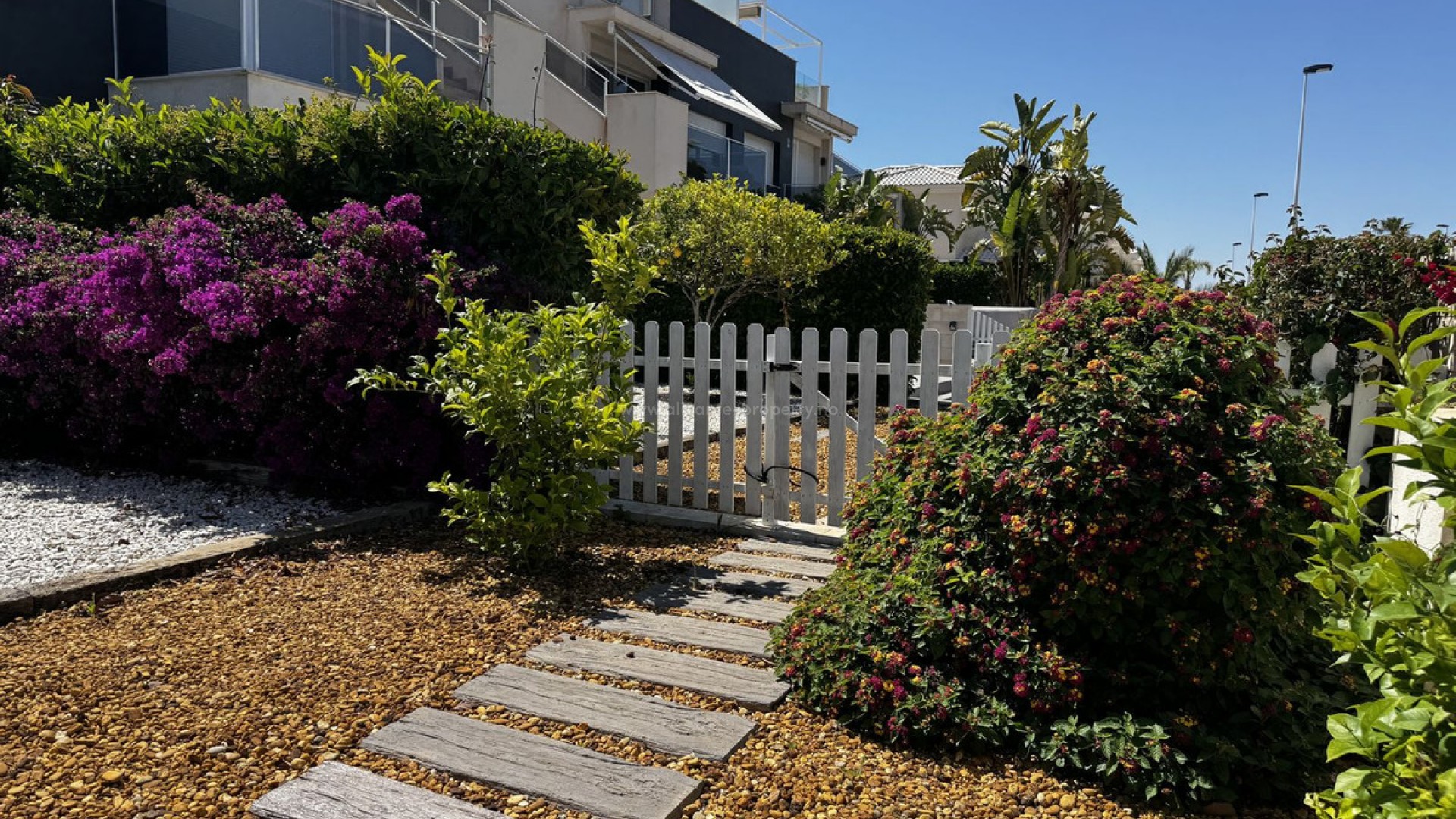 Apartment / flat in Torrevieja Centro