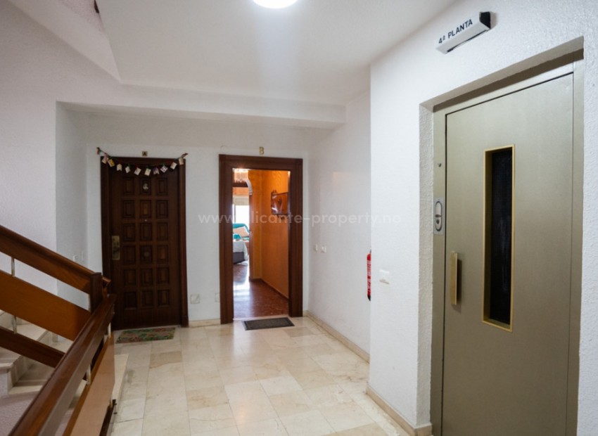 Apartment / flat in Torrevieja Centro