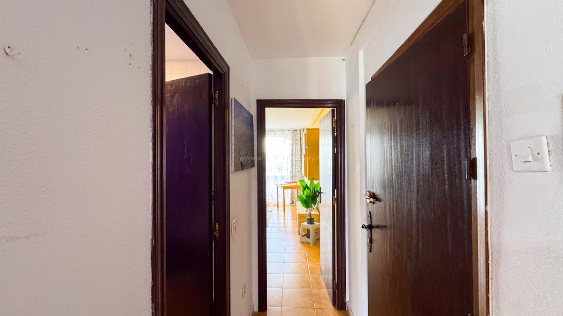 Apartment / flat in Torrevieja Centro