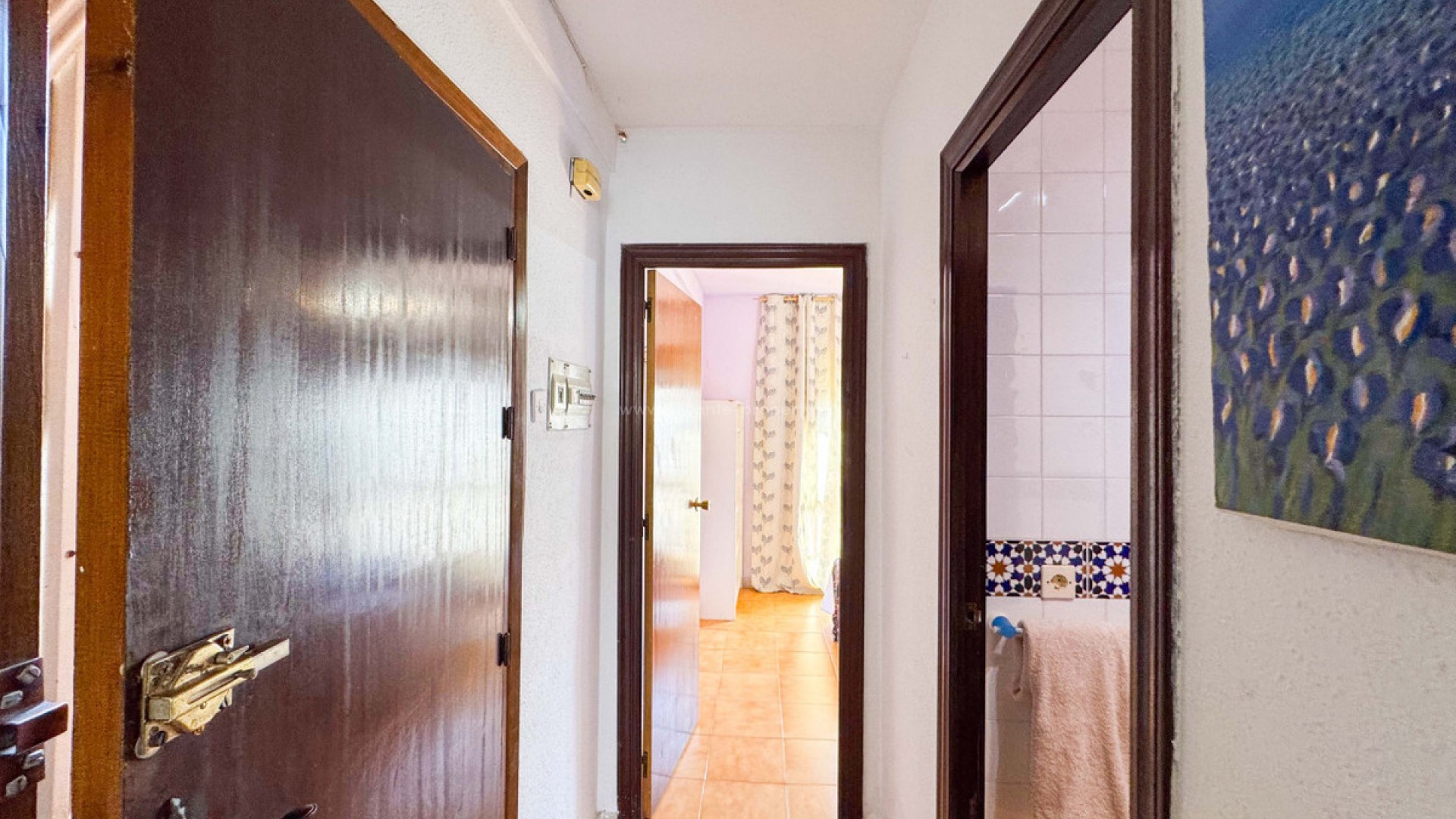 Apartment / flat in Torrevieja Centro