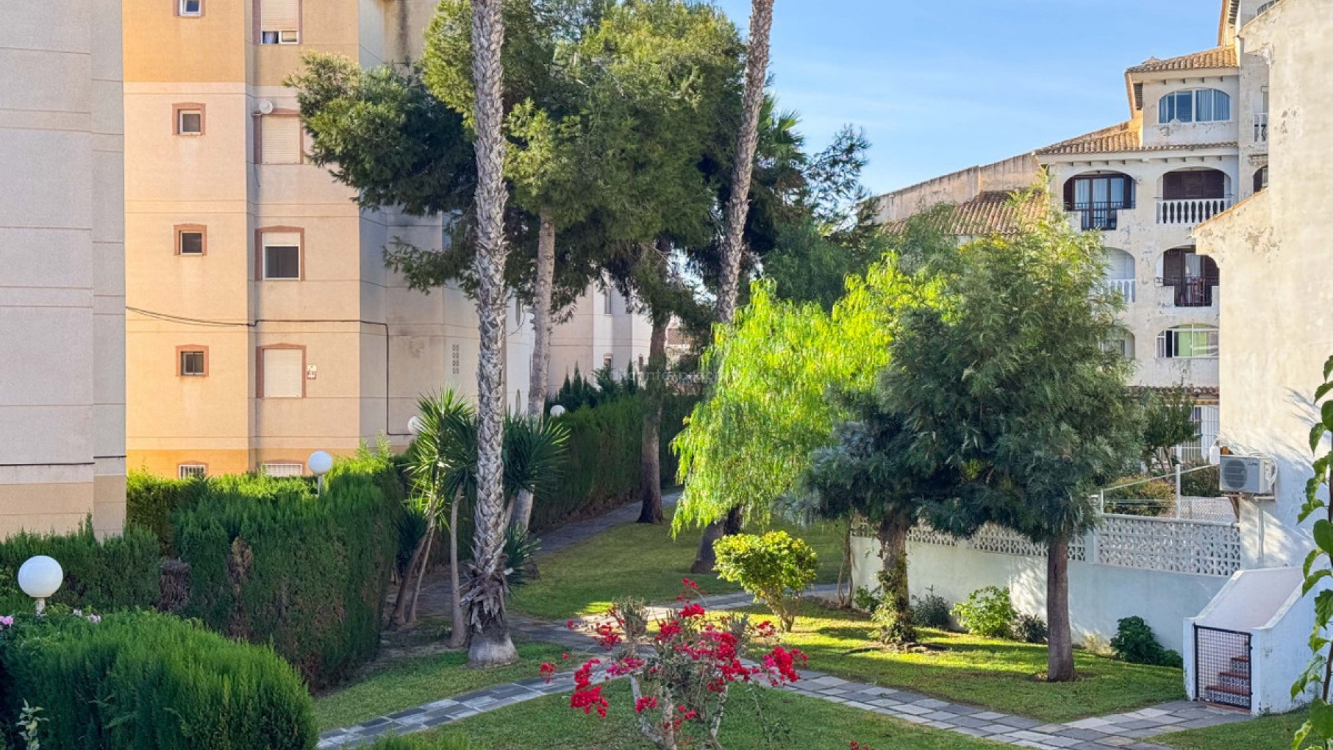 Apartment / flat in Torrevieja Centro