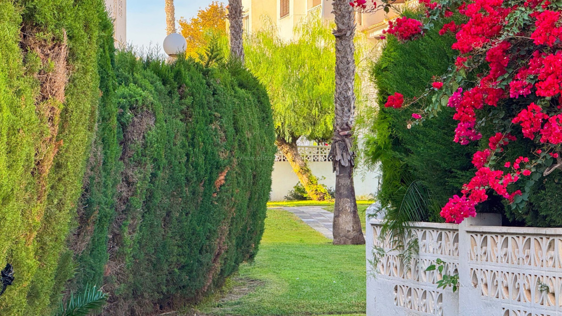 Apartment / flat in Torrevieja Centro