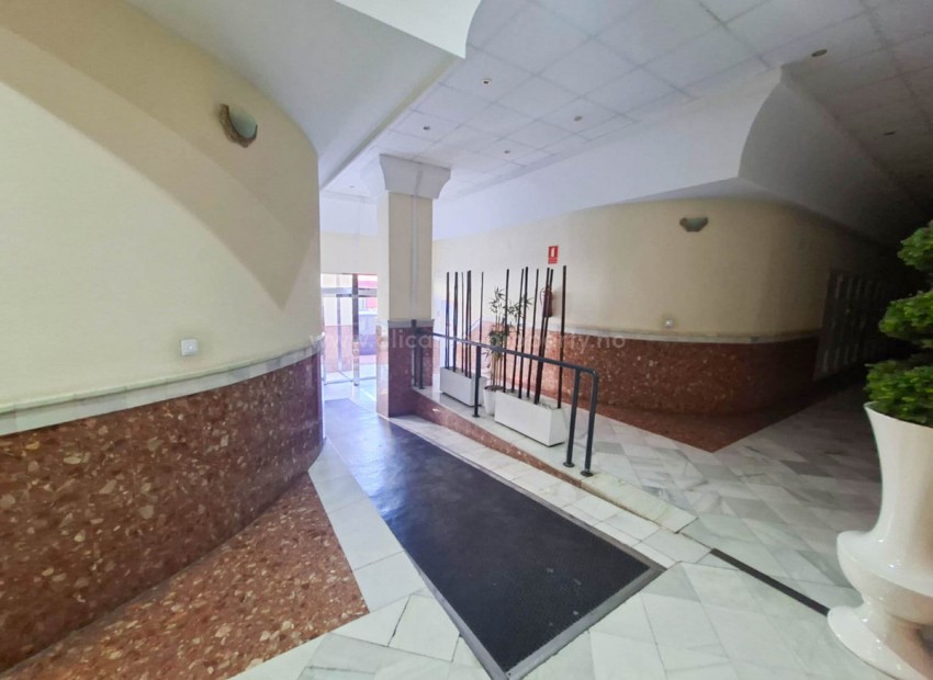 Apartment / flat in Torrevieja Centro