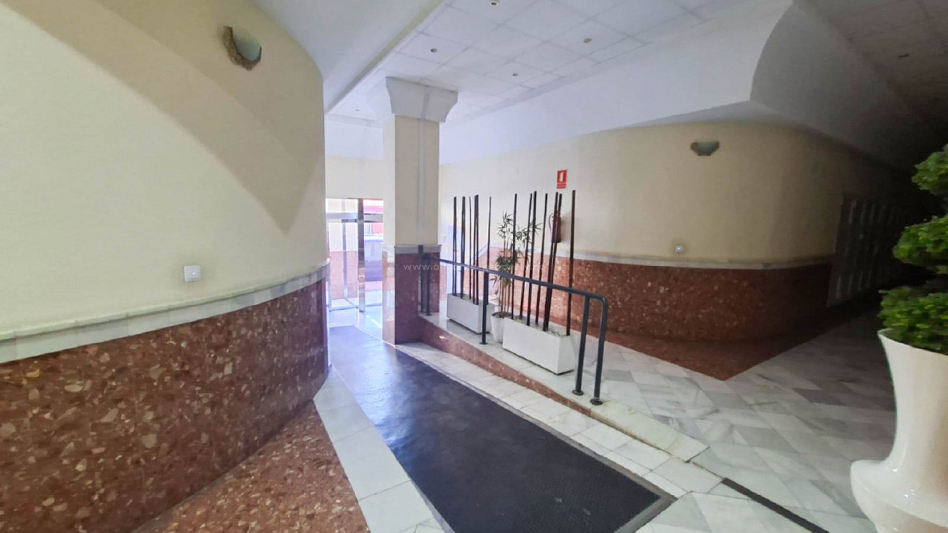 Apartment / flat in Torrevieja Centro