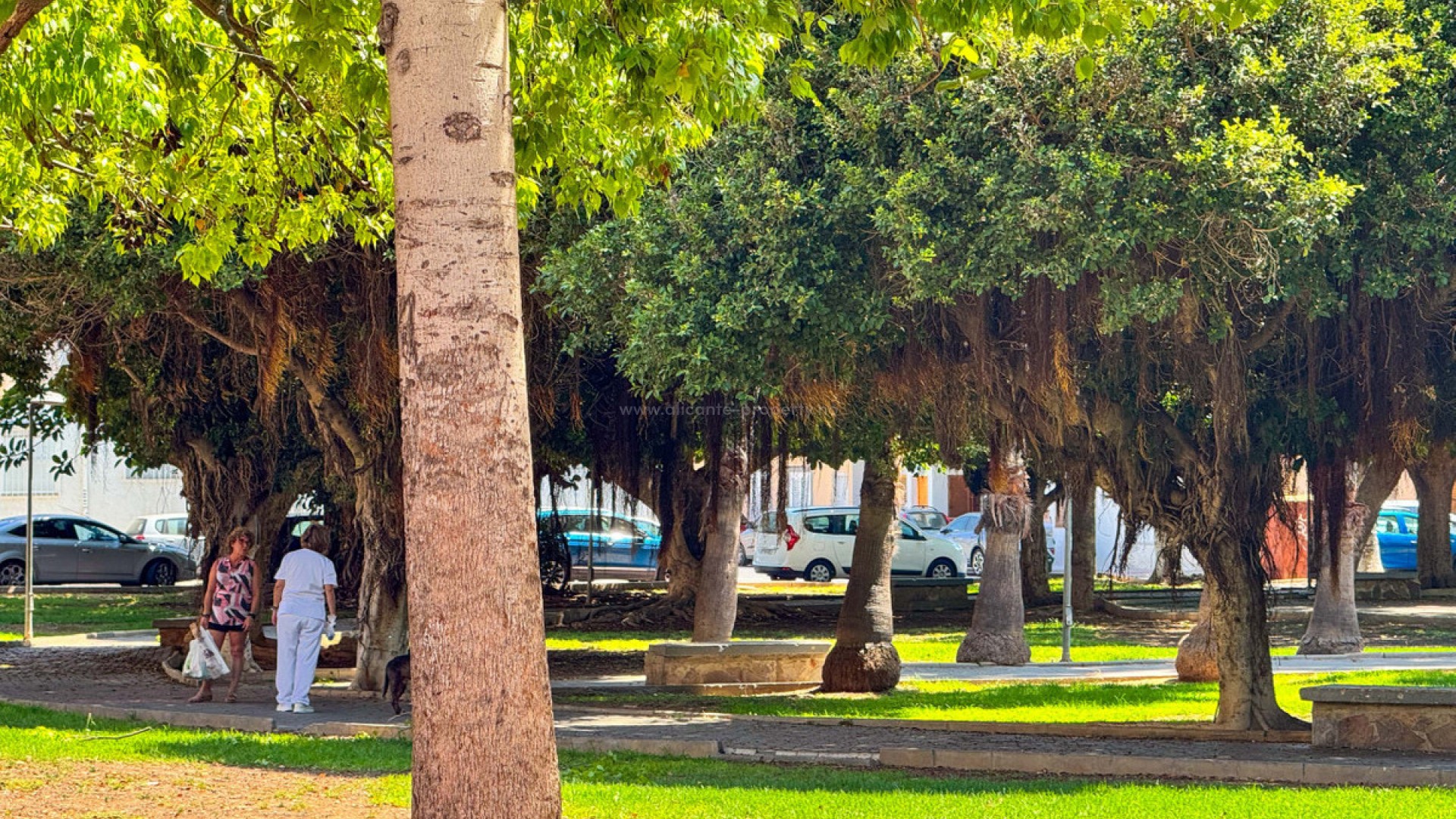 Apartment / flat in Torrevieja Centro