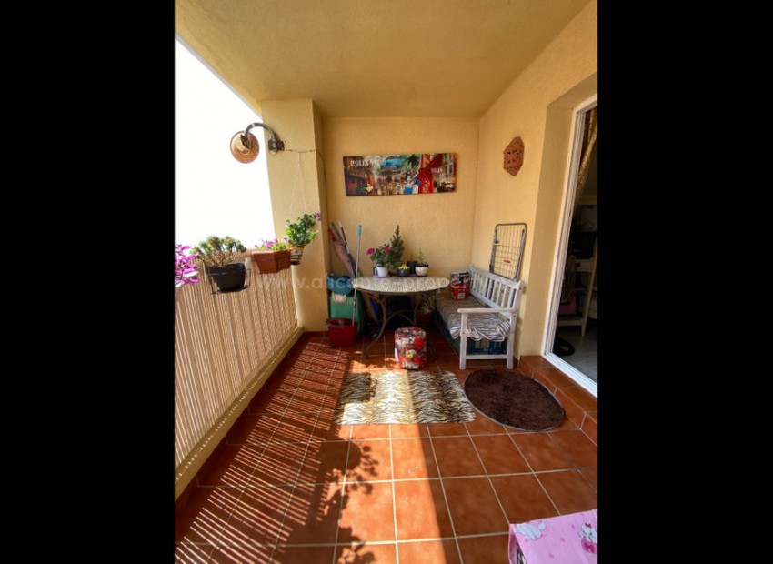 Apartment / flat in Torrevieja Centro