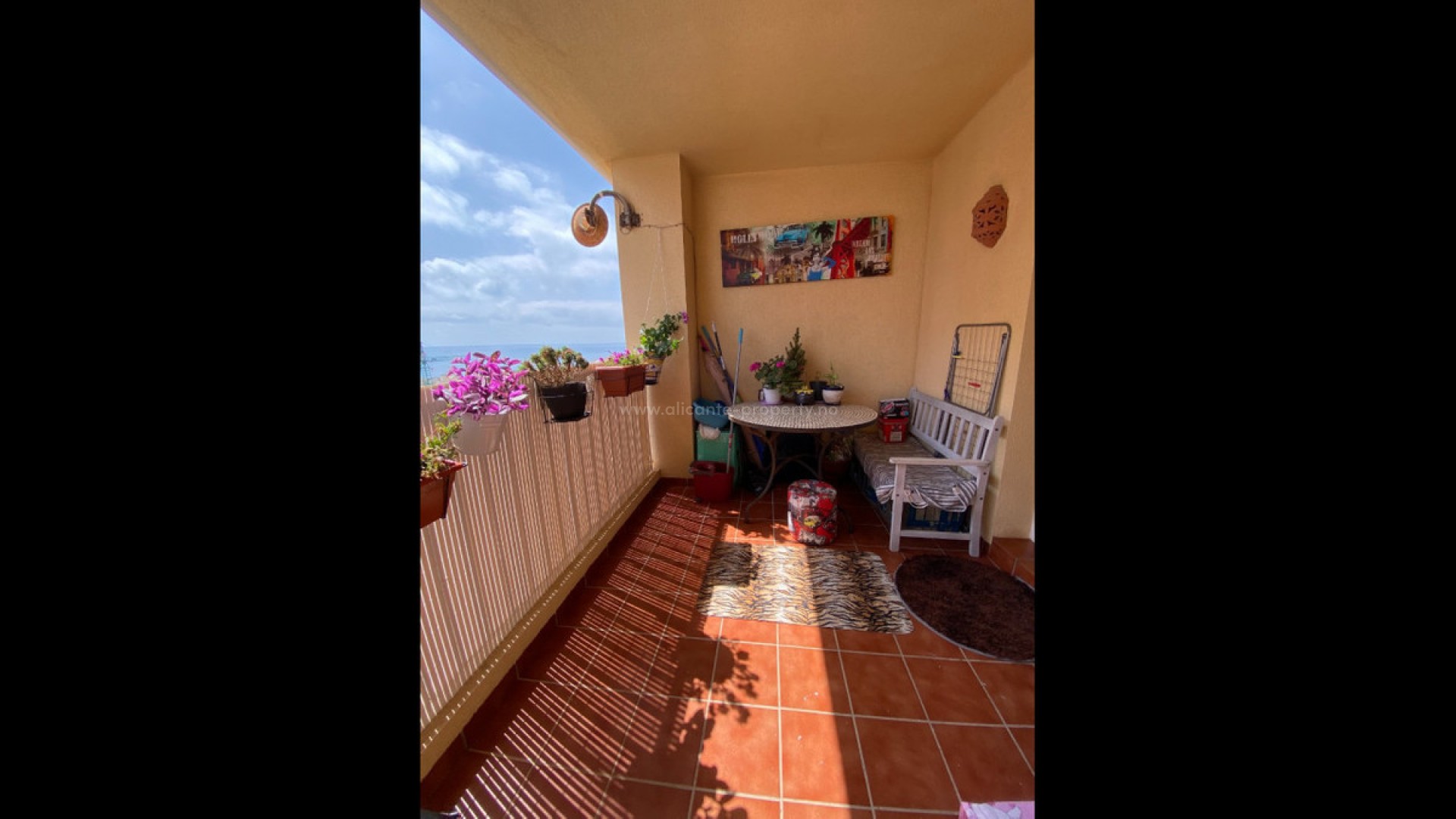 Apartment / flat in Torrevieja Centro