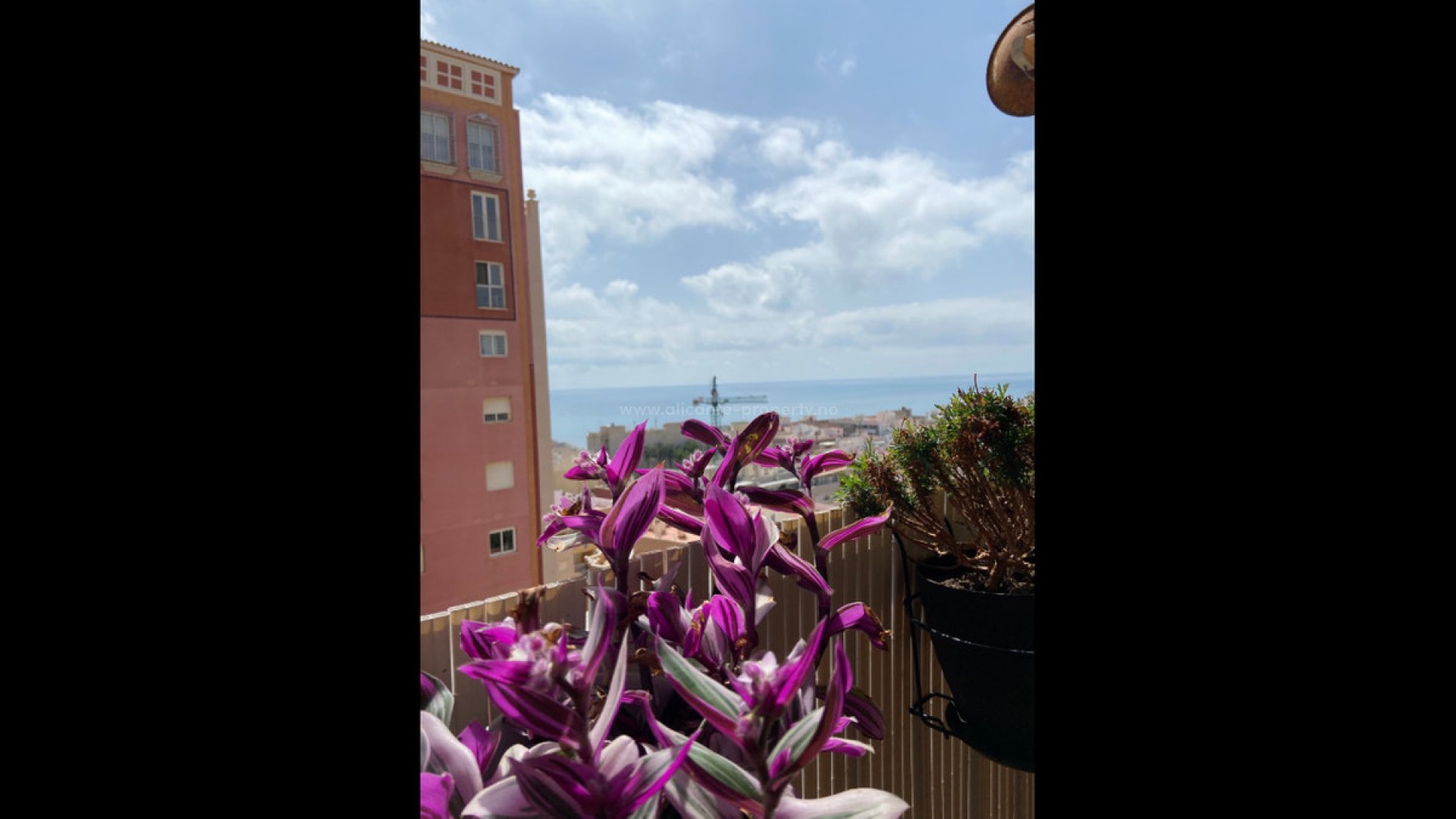 Apartment / flat in Torrevieja Centro