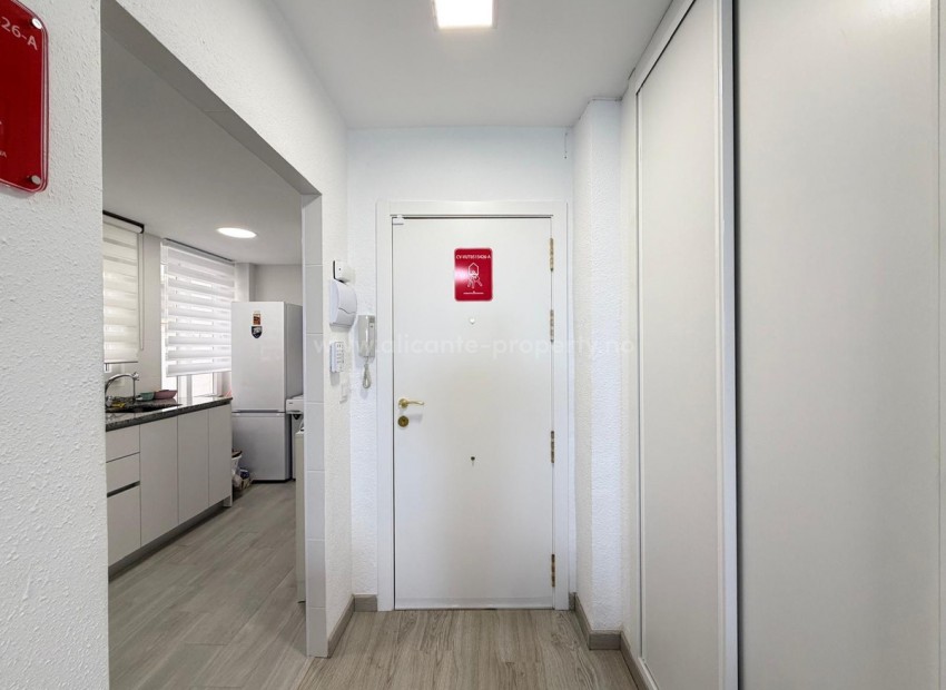 Apartment / flat in Torrevieja Centro