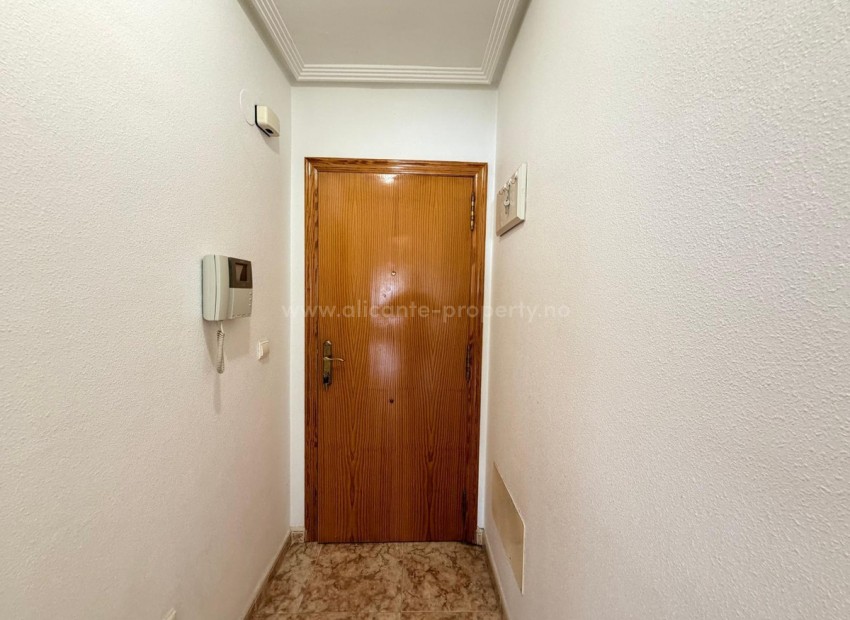 Apartment / flat in Torrevieja Centro