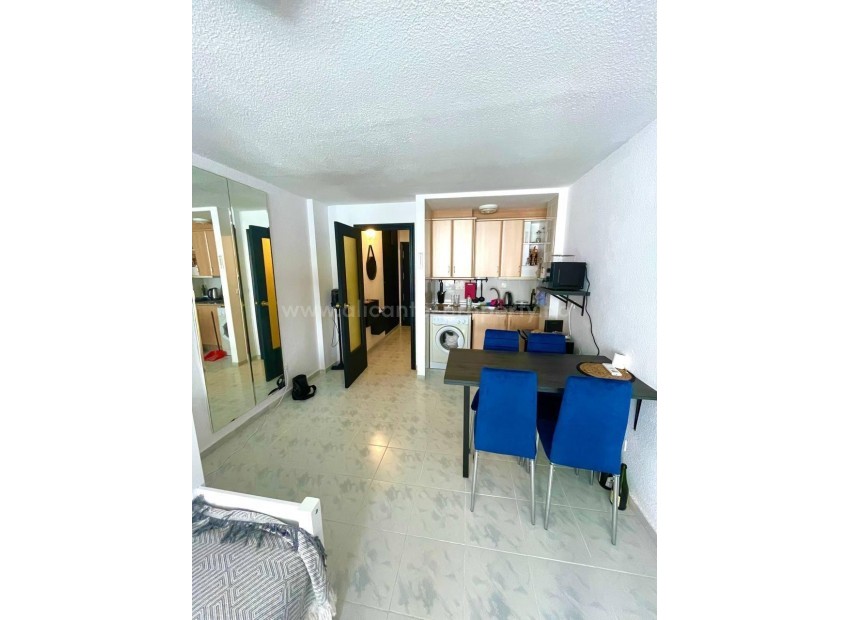 Apartment / flat in Torrevieja Centro