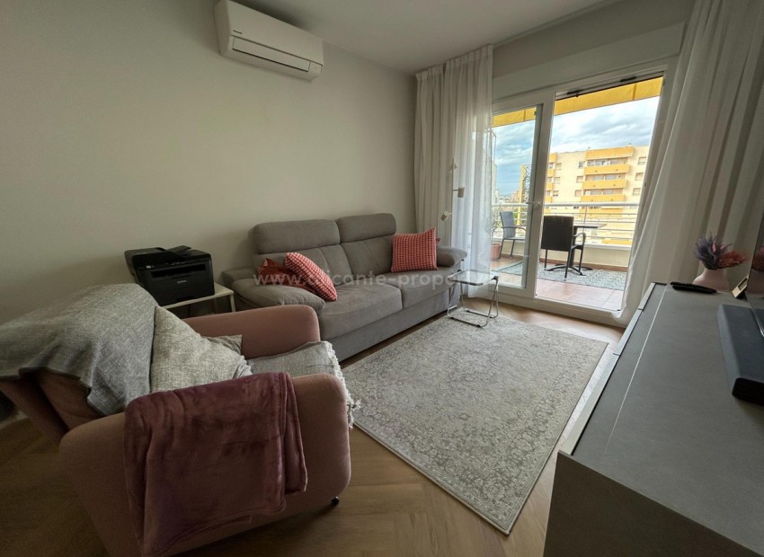 Apartment / flat in Torrevieja Centro