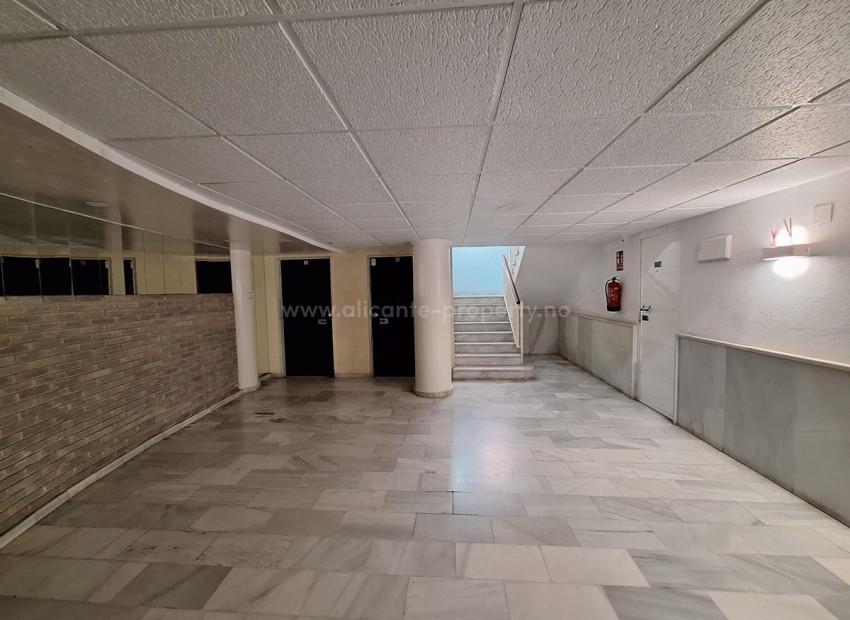 Apartment / flat in Torrevieja Centro