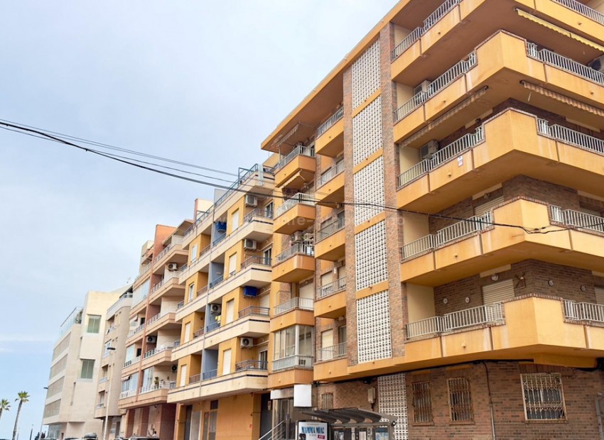 Apartment / flat in Torrevieja Centro