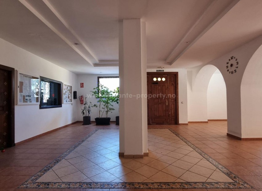 Apartment / flat in Torrevieja Centro