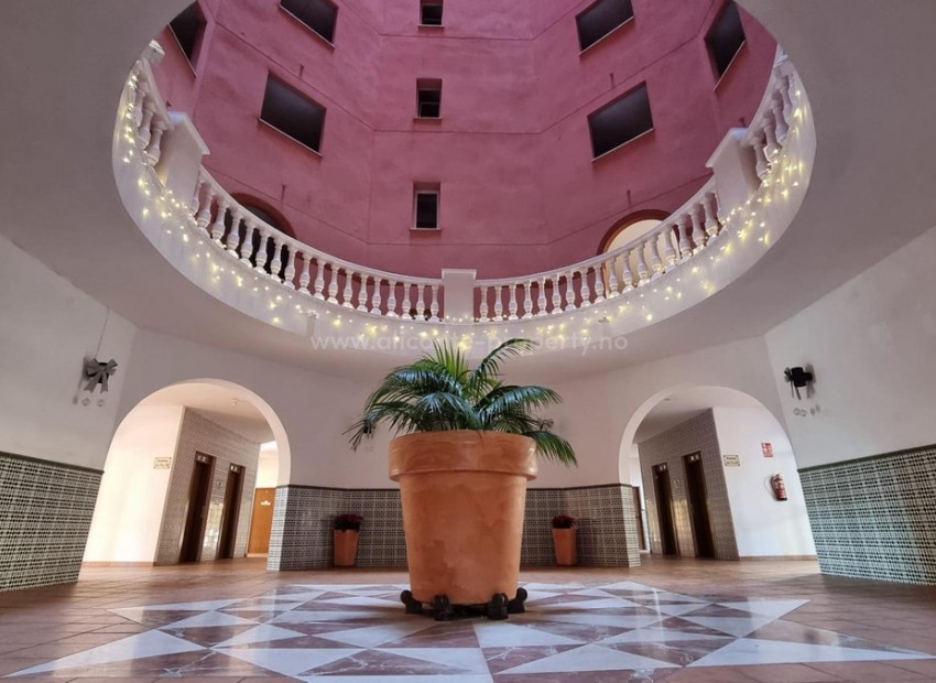 Apartment / flat in Torrevieja Centro