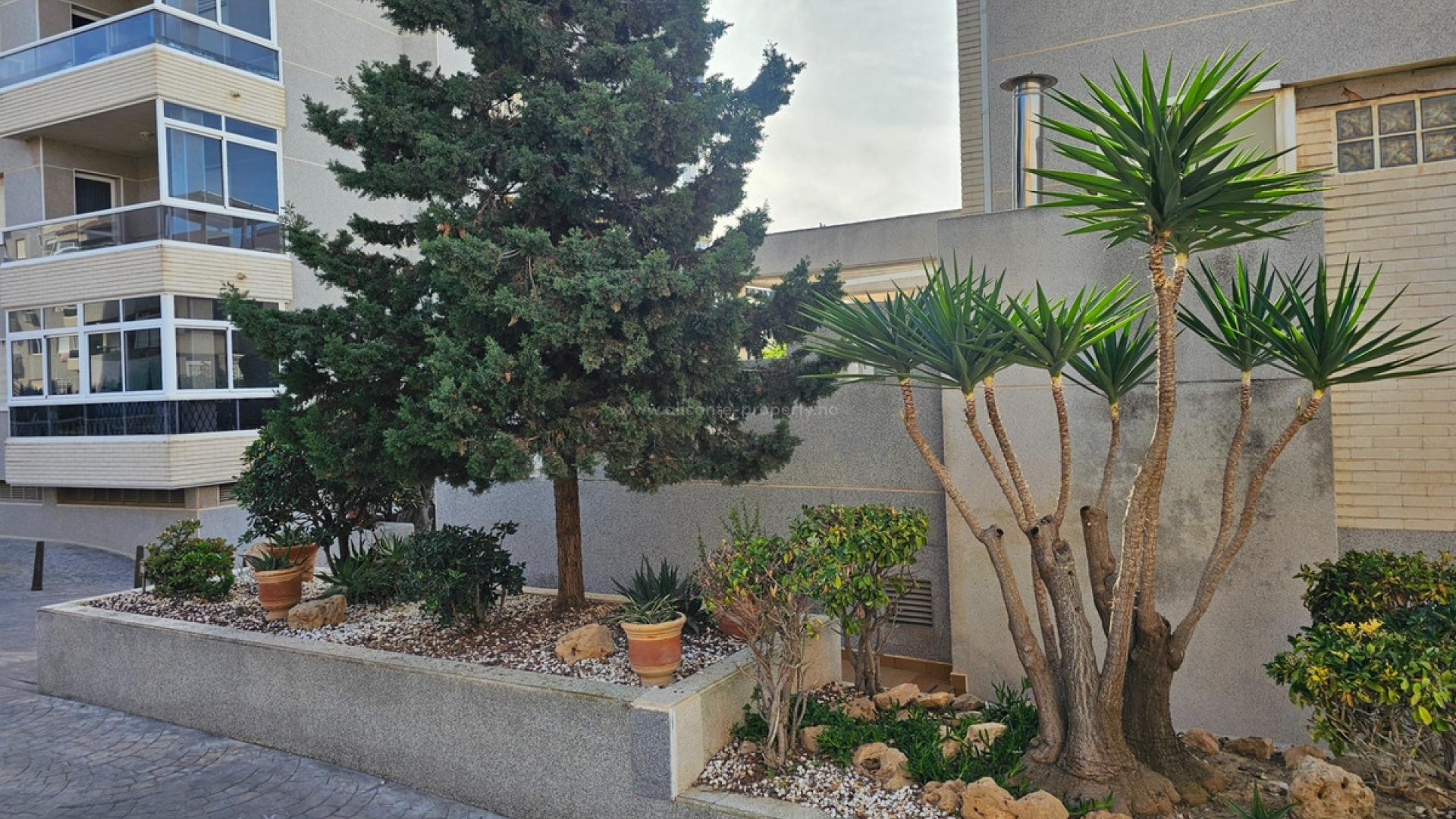 Apartment / flat in Torrevieja Centro