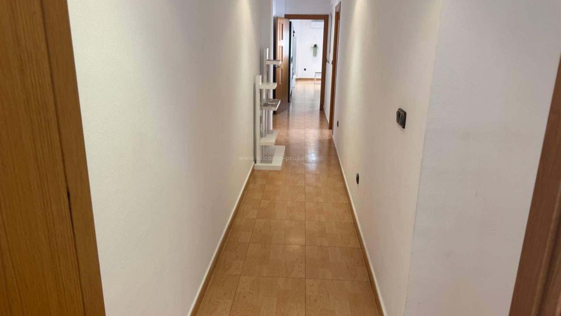 Apartment / flat in Torrevieja Centro