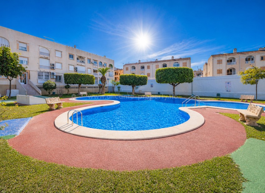 Apartment / flat in Torrevieja Centro