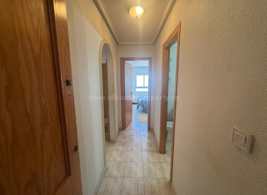 Apartment / flat in Torrevieja Centro