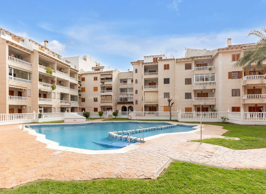 Apartment / flat in Torrevieja Centro