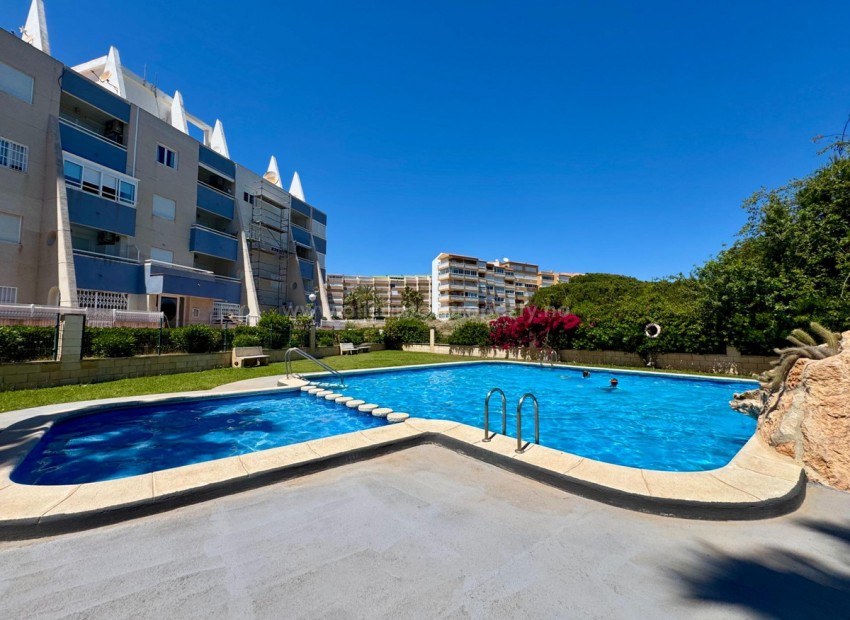 Apartment / flat in Torrevieja Centro