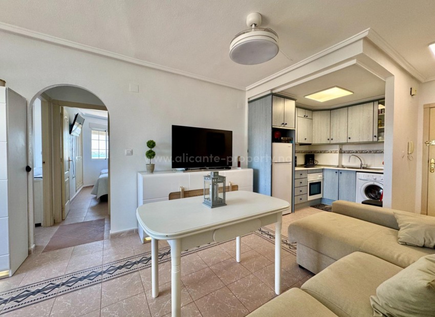 Apartment / flat in Torrevieja Centro